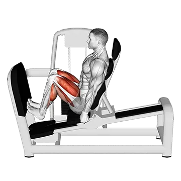 Lever Seated Squat Calf Raise on Leg Press Machine