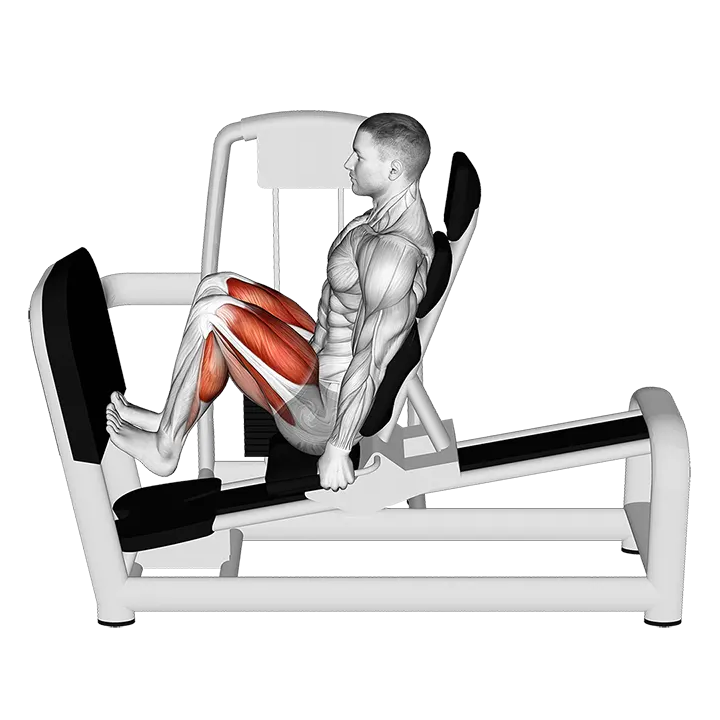 Lever Seated Squat Calf Raise on Leg Press Machine exercise animation (Male)