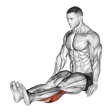 Seated Calf Stretch