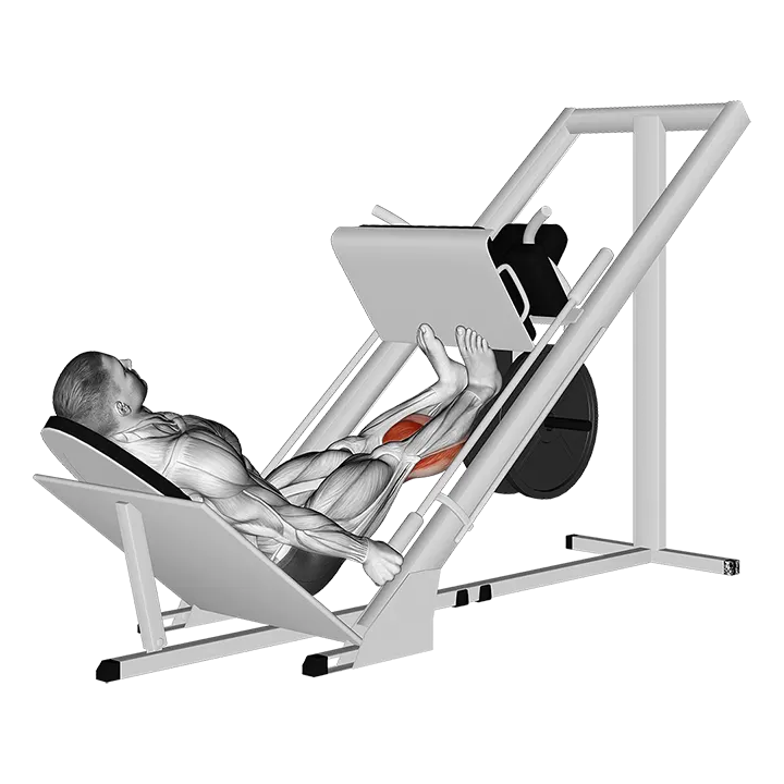 Sled Calf Press On Leg Press exercise animation (Male)