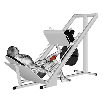 Sled One Leg Calf Press on Leg Press