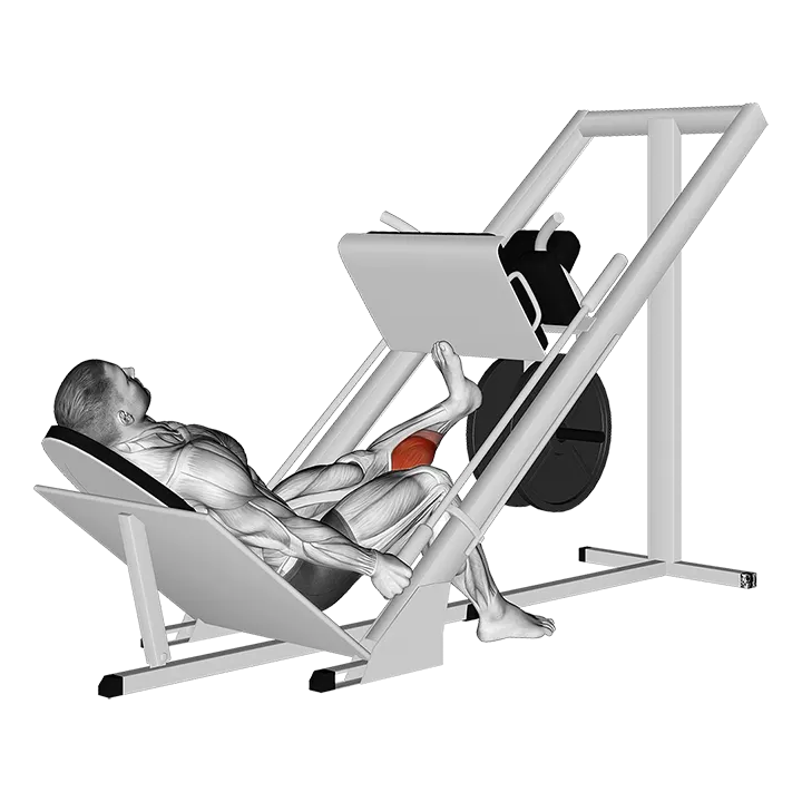 Sled One Leg Calf Press on Leg Press exercise animation (Male)