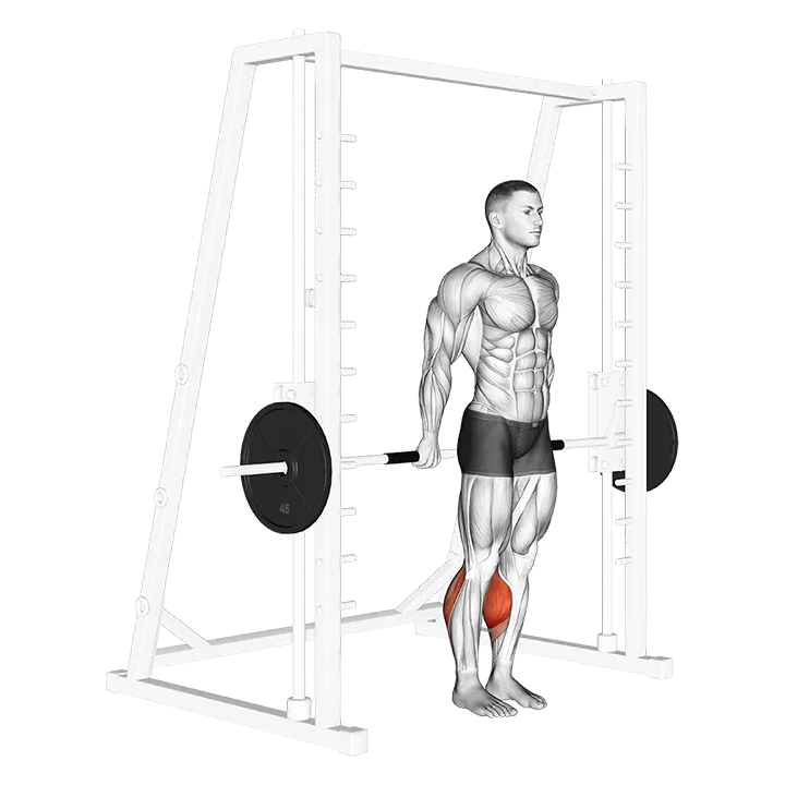 Smith Reverse Calf Raises exercise animation (Male)