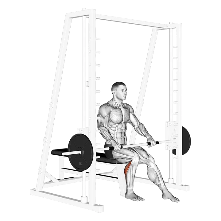 Smith Seated One Leg Calf Raise exercise animation (Male)