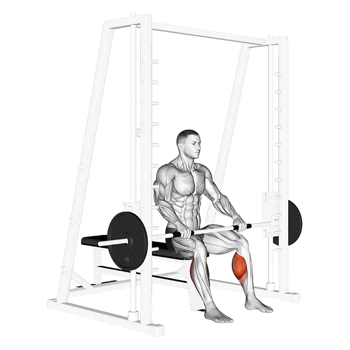 Smith Toe Raise exercise animation (Male)