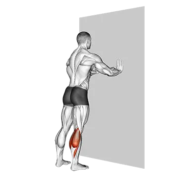 Standing Gastrocnemius
