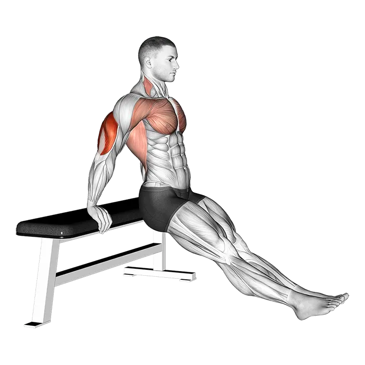 Bench dip on floor exercise animation (Male)