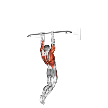 Muscle-up (on vertical bar)