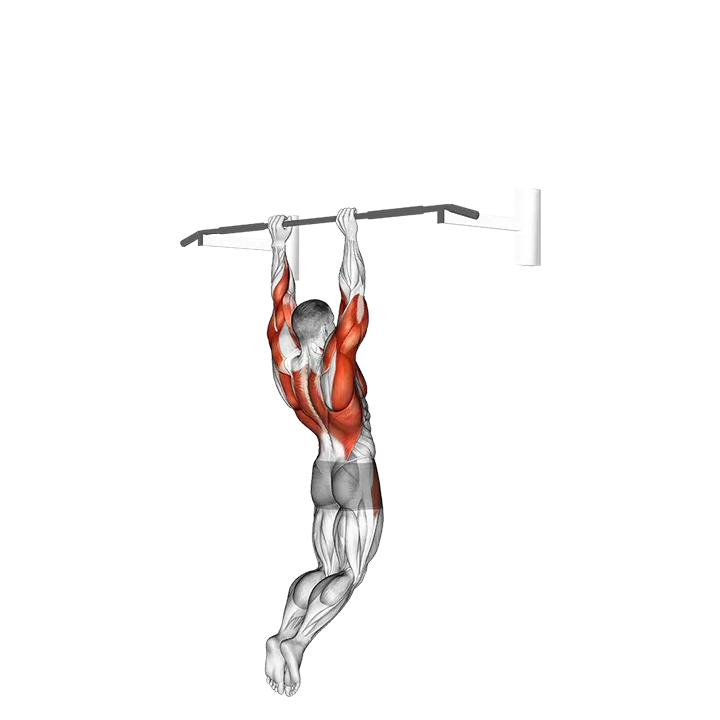 Muscle-up (on vertical bar) exercise animation (Male)