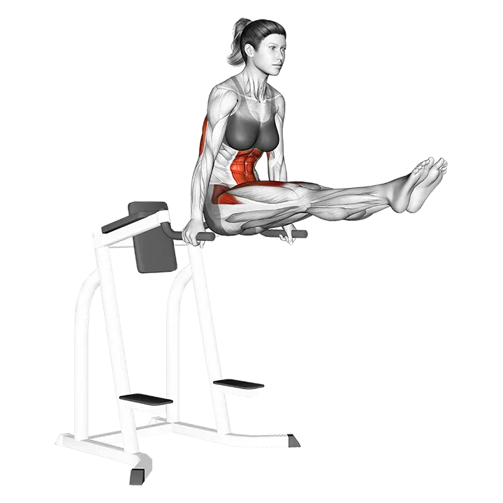 L-sit exercise animation (Female)