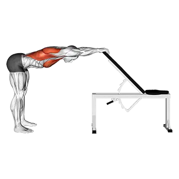 Back Pec Stretch