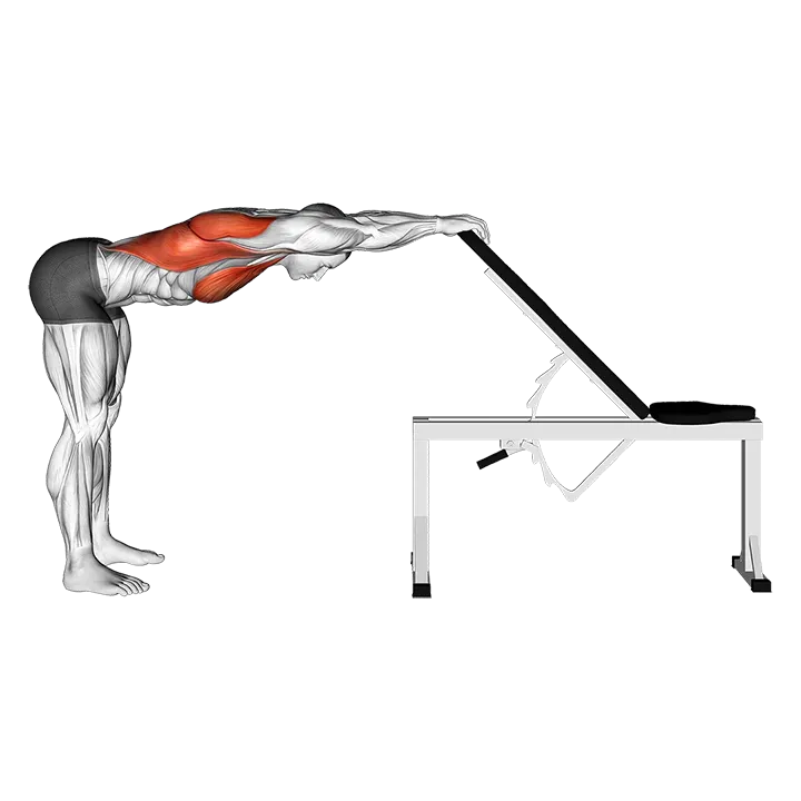 Back Pec Stretch exercise animation (Male)