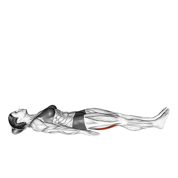 Hamstrings Lying Stretch