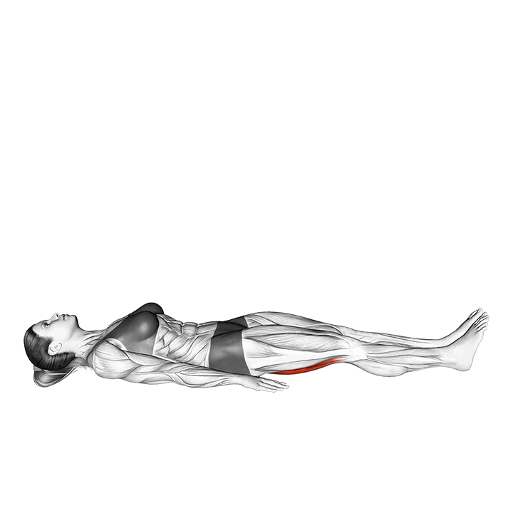 Hamstrings Lying Stretch exercise animation (Female)
