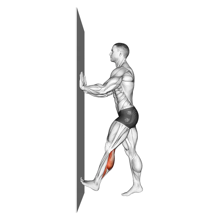 Calf Push Stretch With Hands Against Wall exercise animation (Male)