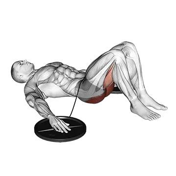 Band Hip Lift