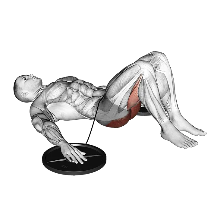 Band Hip Lift exercise animation (Male)