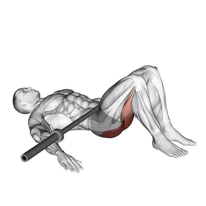 Barbell Glute Bridge exercise animation (Male)