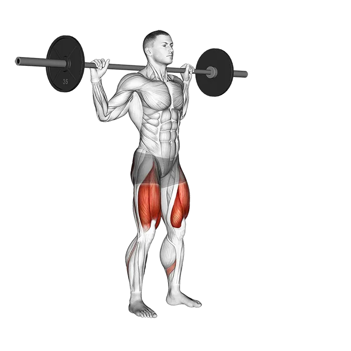 Barbell Lateral Lunge exercise animation (Male)