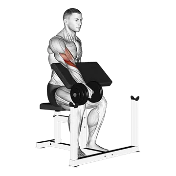 Dumbbell One Arm Reverse Preacher Curl