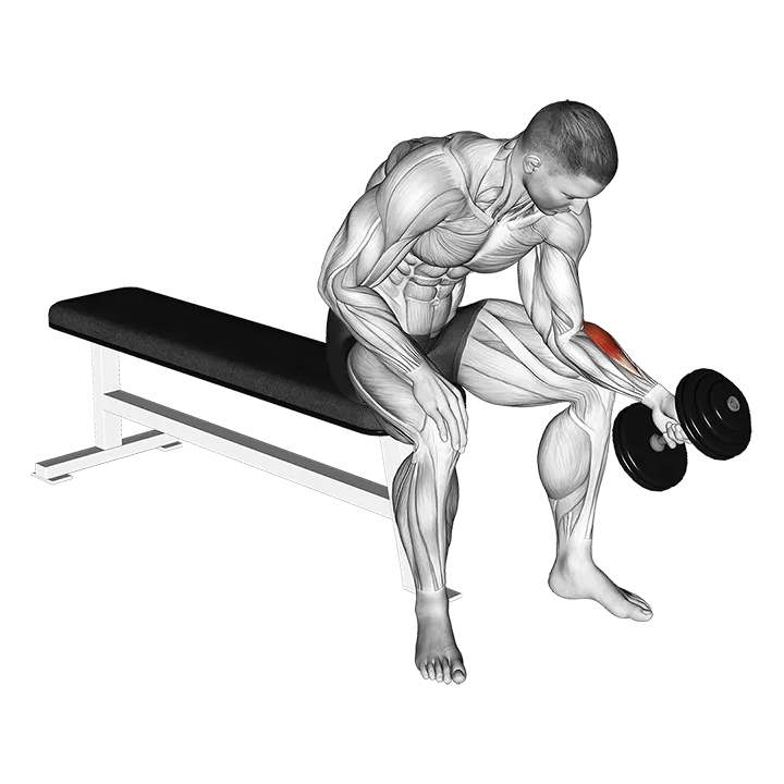 Dumbbell One Arm Seated Neutral Wrist Curl exercise animation (Male)