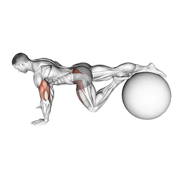 Exercise Ball One Leg Prone Lower Body Rotation