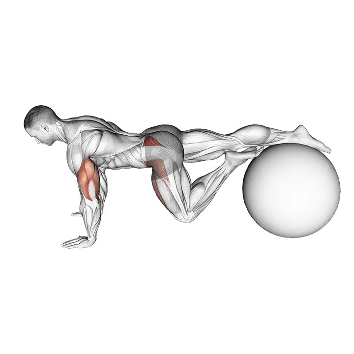 Exercise Ball One Leg Prone Lower Body Rotation exercise animation (Male)