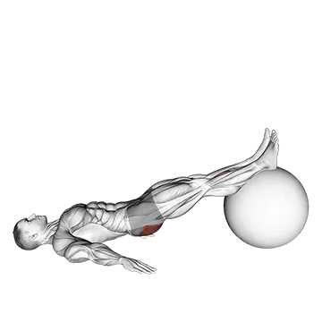 Exercise Ball One Legged Diagonal Kick Hamstring Curl