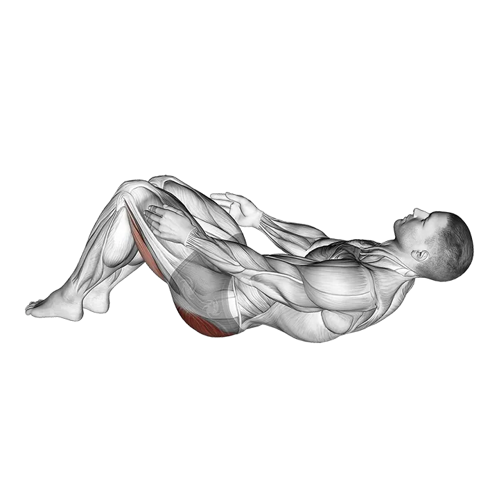 Hug keens to chest exercise animation (Male)