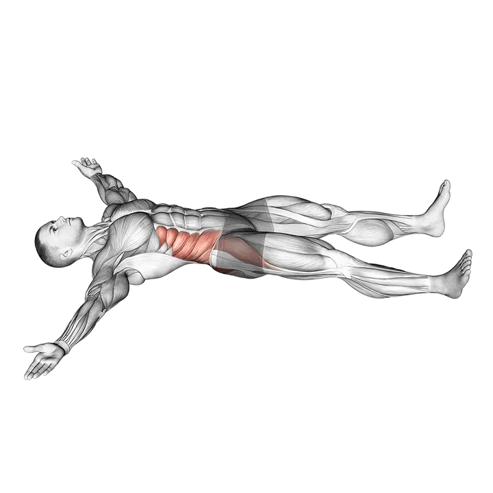 Iron Cross Stretch exercise animation (Hombre)