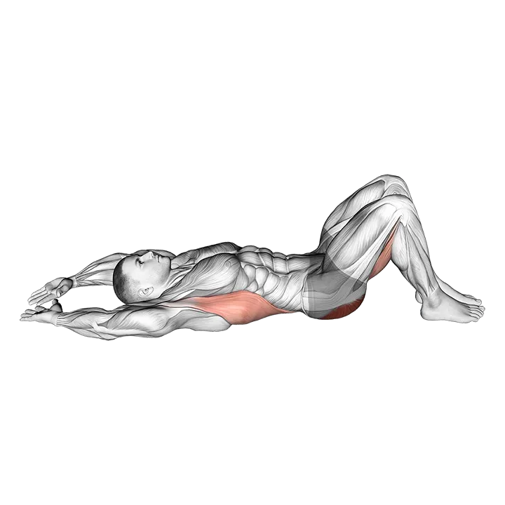 Pelvic Tilt Into Bridge exercise animation (Male)