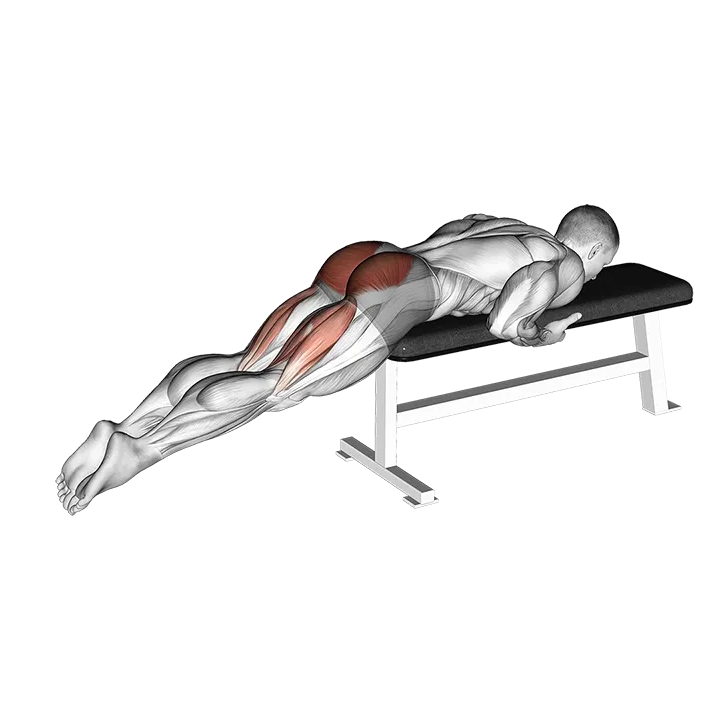 Reverse Hyper on Flat Bench exercise animation (Male)