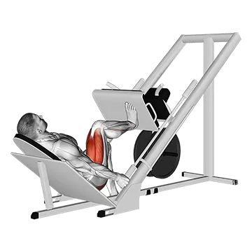 Sled 45 degrees One Leg Press