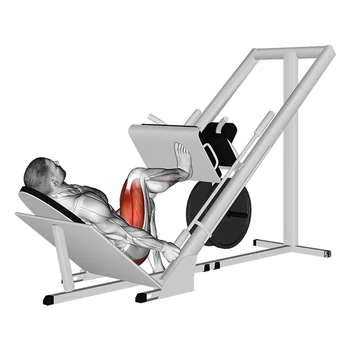 Sled 45 degrees One Leg Press exercise animation (Male)