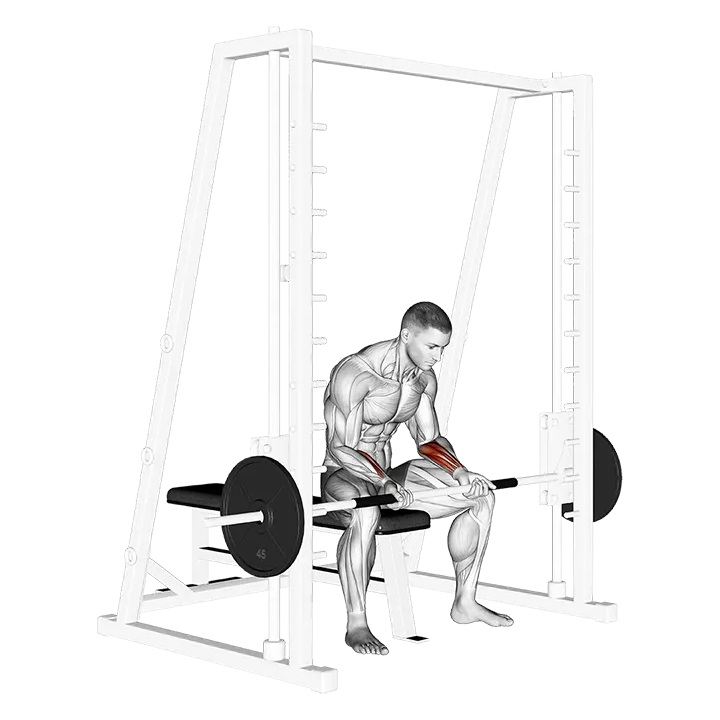 Smith Seated Wrist Curl exercise animation (Male)