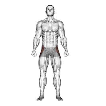 Straight Leg Outer Hip Abductor
