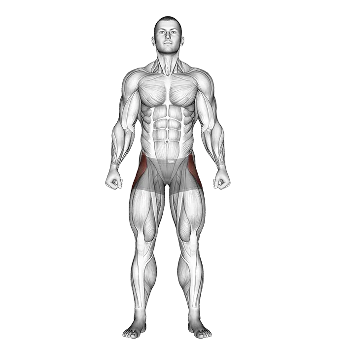 Straight Leg Outer Hip Abductor exercise animation (Male)