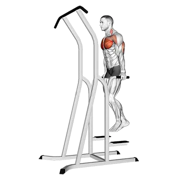 Chest Dip (on dip-pull-up cage)