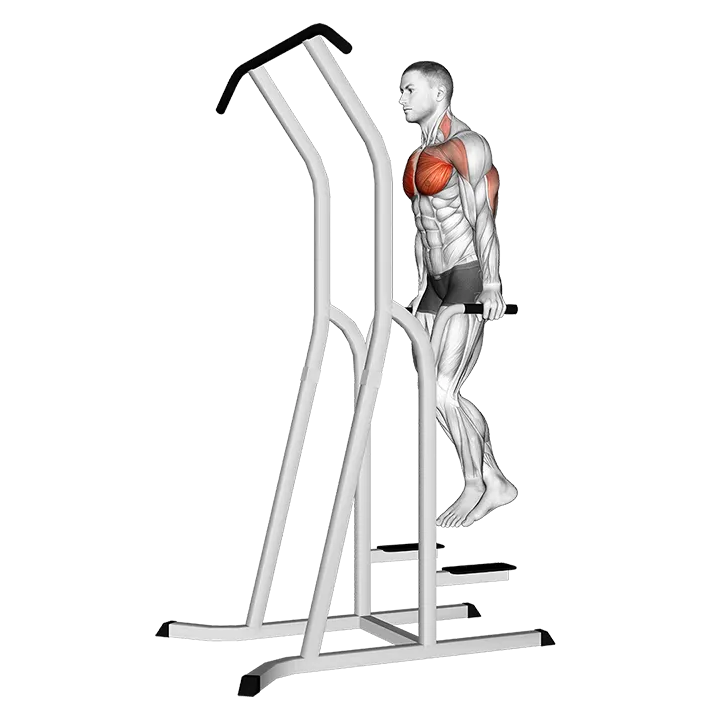 Chest Dip (on dip-pull-up cage) exercise animation (Male)