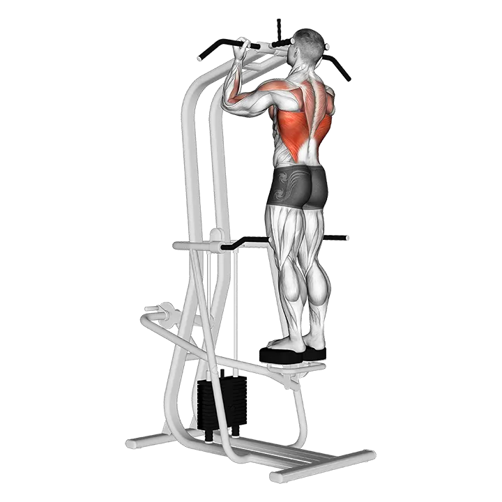 Assisted Standing Chin-Up exercise animation (Male)