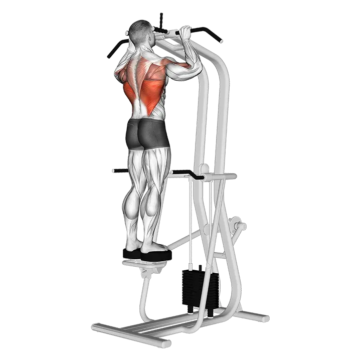 Assisted Standing Pull-up exercise animation (Male)