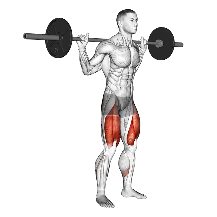 Barbell Low Bar Squat exercise animation (Male)