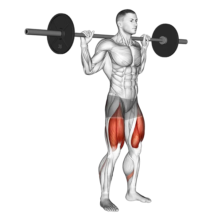 Barbell High Bar Squat exercise animation (Male)