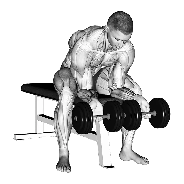 Dumbbell finger curls exercise animation (Male)