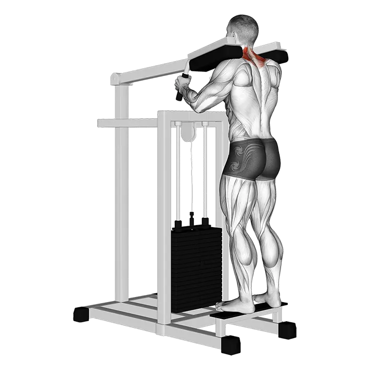 Lever Gripless Shrug (VERSION 2) exercise animation (Male)