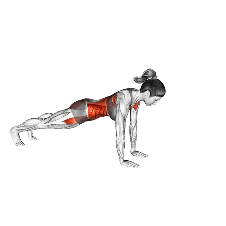 Plank Arm Lifts exercise animation (Female)