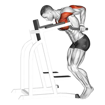 Dip Hold Isometric