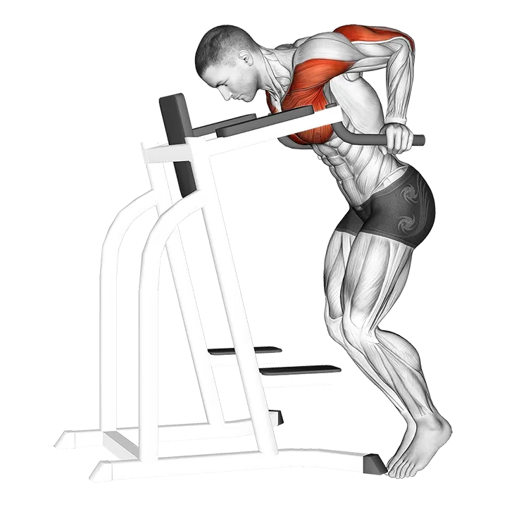 Dip Hold Isometric exercise animation (Male)