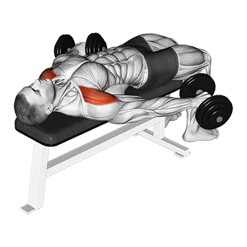 Dumbbell Lying Pronated Grip Maltese Hold Isometric