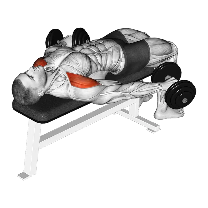 Dumbbell Lying Pronated Grip Maltese Hold Isometric exercise animation (Male)